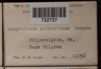 Image Associated With the Occurence